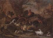 unknow artist Still life of fowl in a farmyard,with a cat stealing a bantam chick oil painting picture wholesale